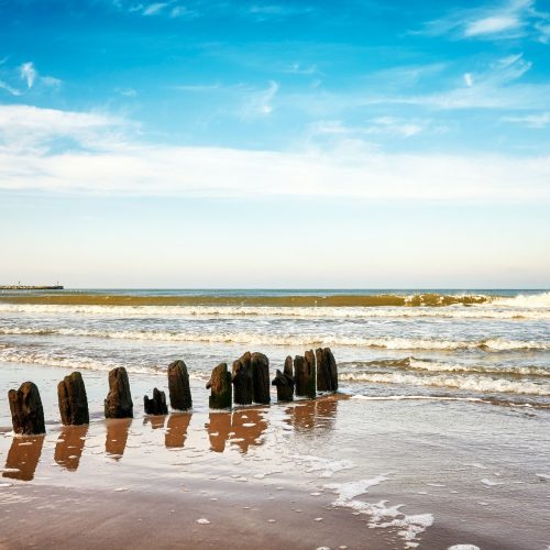 Old wooden groyne on a beach.